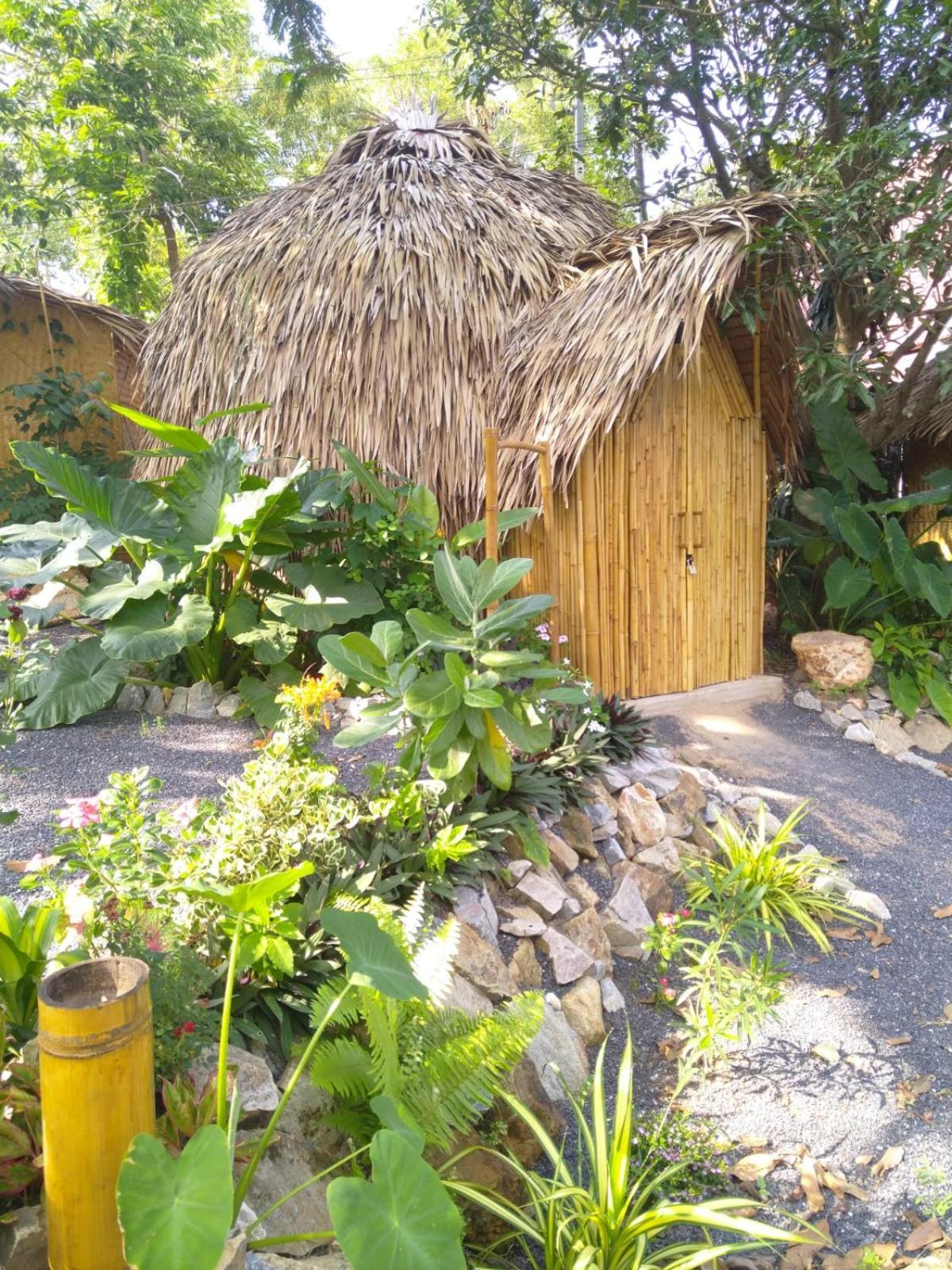 Samui Circus & - Dome 5 *